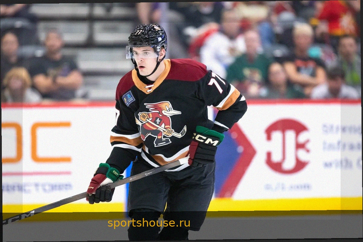 3 вывода из поражения новичков Mammoth от Kings со счетом 0:4