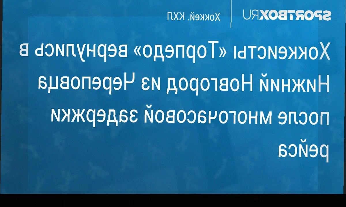 «Торпедо» вернулось в Нижний Новгород после двукратной задержки рейса из Череповца